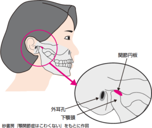 顎関節と外耳
